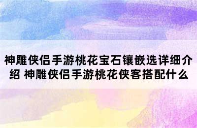 神雕侠侣手游桃花宝石镶嵌选详细介绍 神雕侠侣手游桃花侠客搭配什么